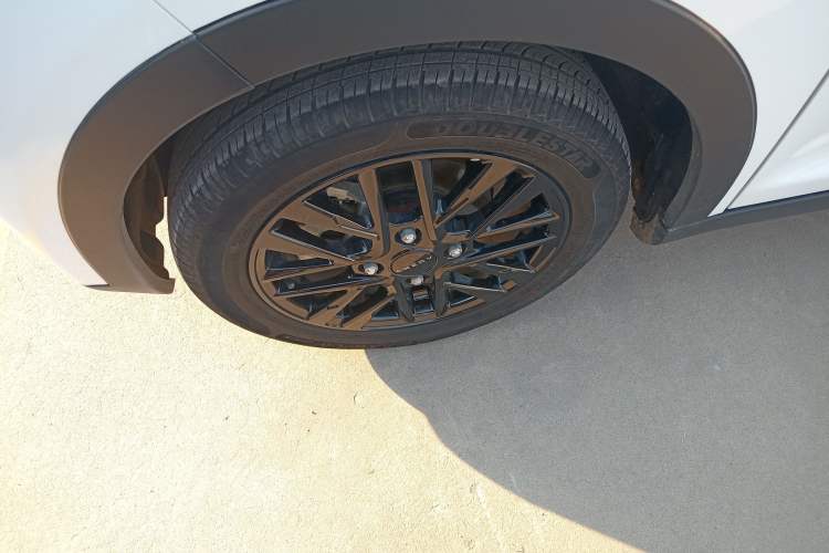 Used Chery Little Ant 2024 251km True Love Edition