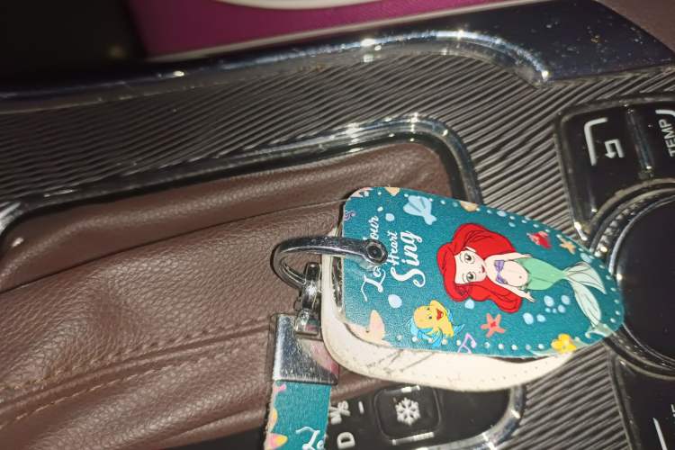 Used Leopaard CS9 2018 1.5T CVT Jinglang Model