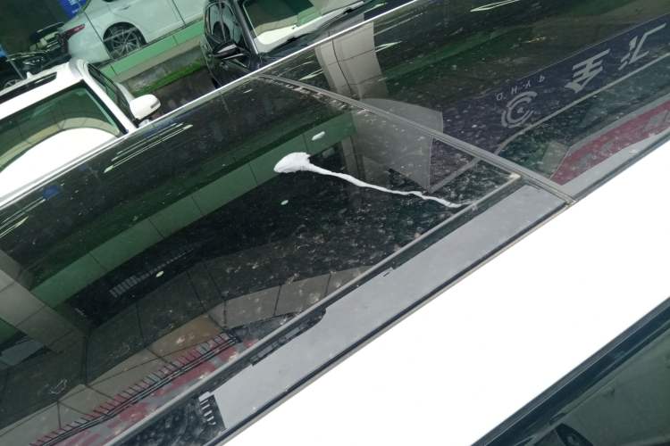 Used Land Rover Range Rover Evoque 2022 Aurora L 249 PS R-Dynamic Luxury Edition
