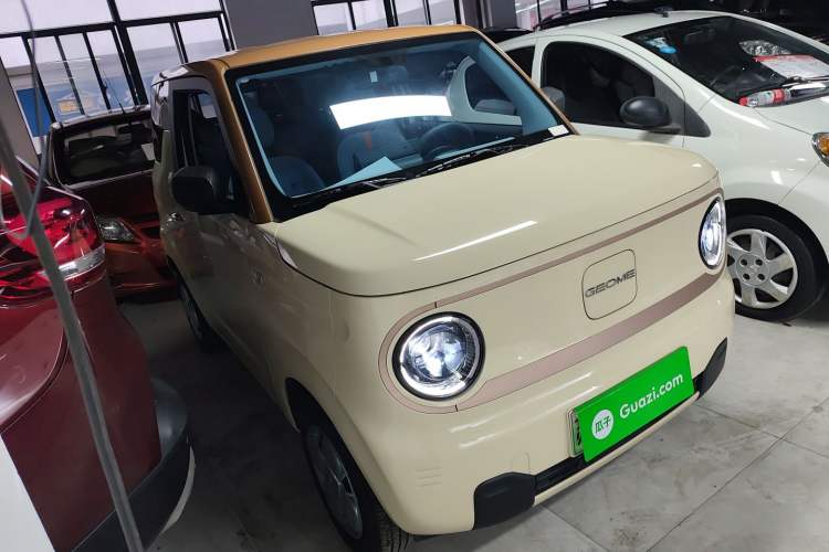 Used  Panda 2024 Panda Mini 200km Endurance Bear
