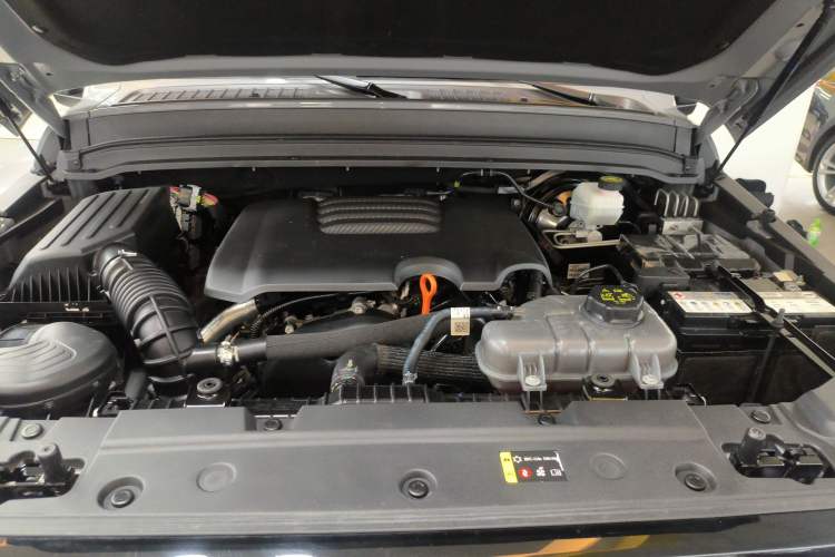 Used Tank 300 2024 2.0T Conqueror
