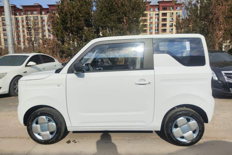 Used  Panda 2024 Panda Mini 200km Endurance Bear
