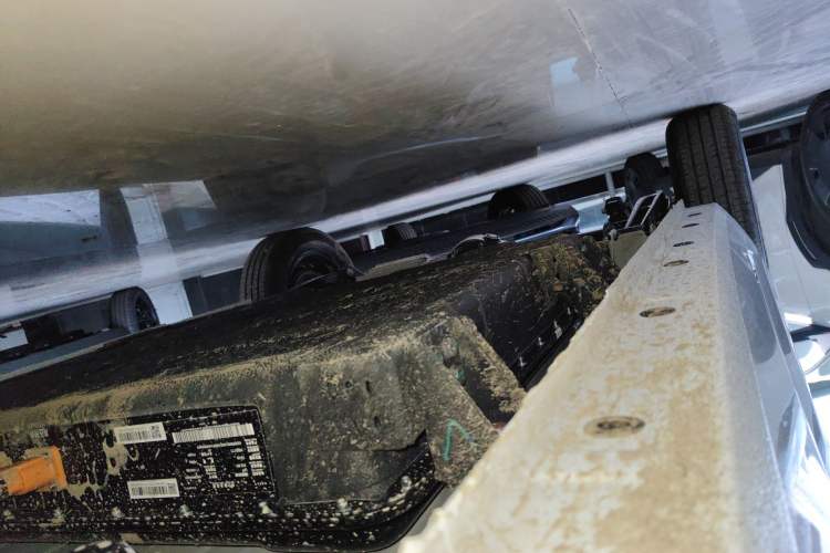 Used  Panda 2025 210 km – Yuanqi Bear
