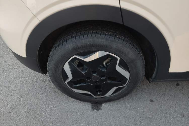 Used  Geome 2025 310km Youth Edition
