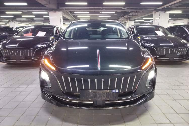 Used Hongqi E-QM5 2023 Revised Version Basic Travel Edition
