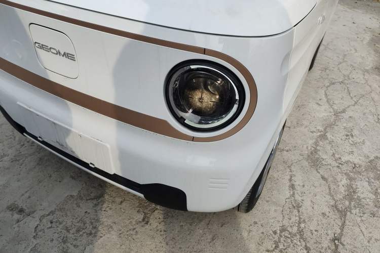 Used  Panda 2024 Panda Mini 200km Endurance Bear
