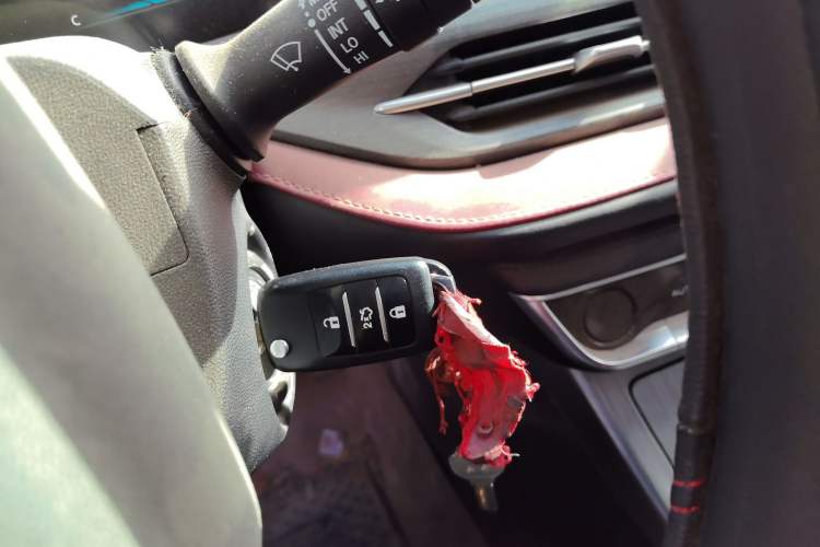 Used Changan CS55PLUS 2020 1.5T Manual Colorful Model
