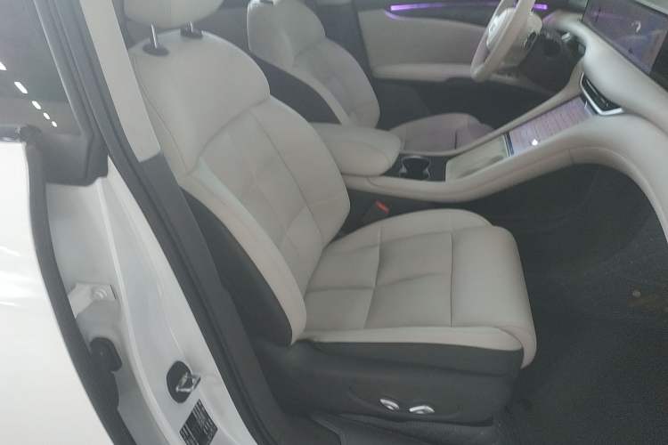 Used  LS6 2023 Max Long-Range Version
