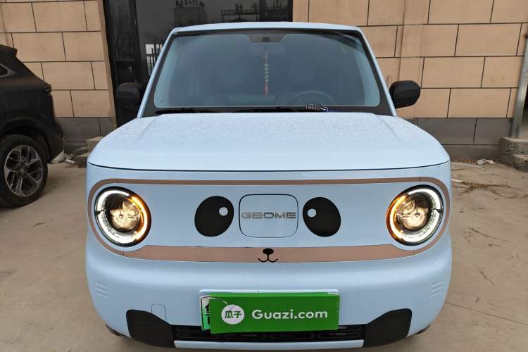 Used  Panda 2023 Panda Mini 200km Endurance Bear