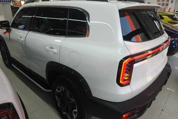 Used Haval DARGO 2024 2.0T DCT Chinese Rural Dog Edition
