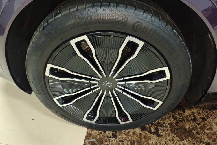 Used  07 2024 Max Extended-Range Edition
