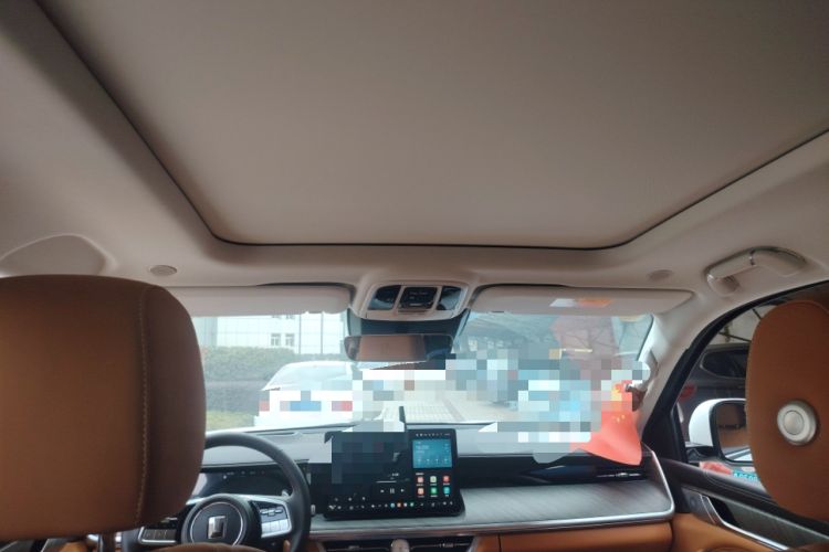 Used Tank 500 New Energy 2024 Hi4-T
