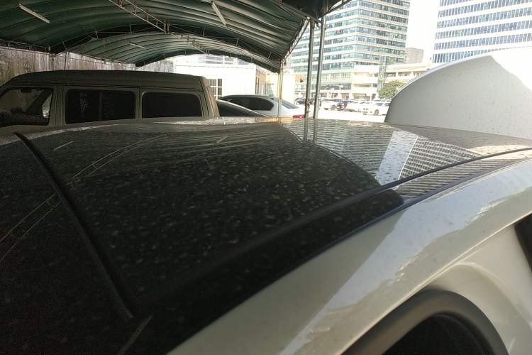 Used Mercedes-Benz C-Class 2019 C 260 L Sport Edition
