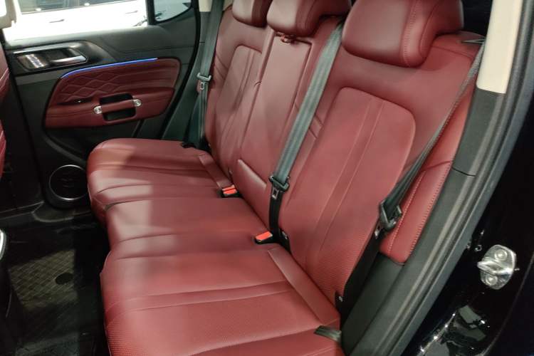 Used Tank 300 2024 2.0T Conqueror