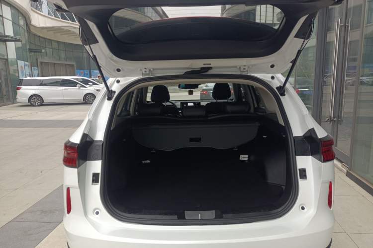 Used Haval H6 2024 1.5T Two-Wheel-Drive Classic Edition
