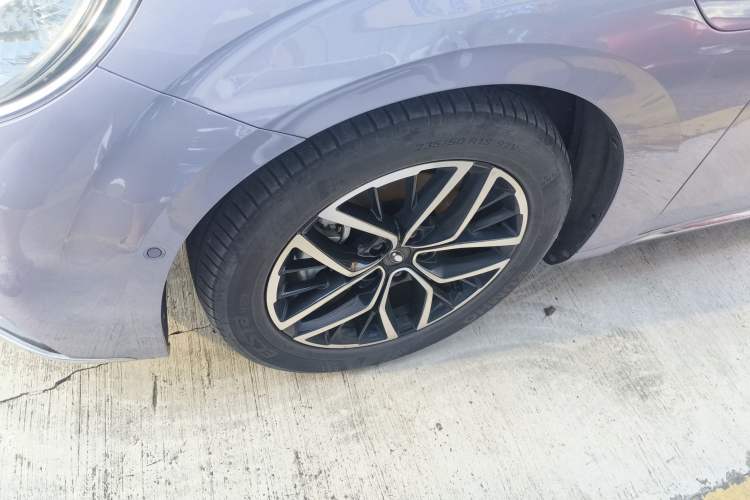 Used ORA Lightning Cat 2022 555 km Luxury Edition
