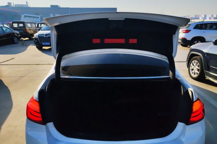 Used BMW 3 Series 2016 320Li Ambition Model
