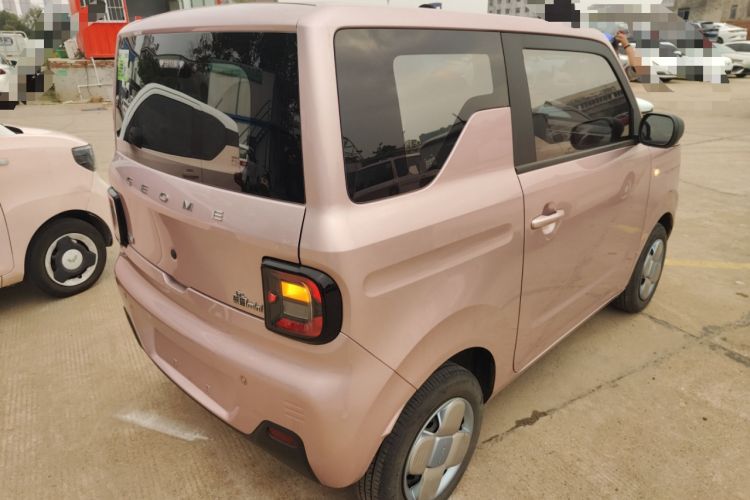 Used  Panda 2023 Panda Mini 200km Endurance Bear
