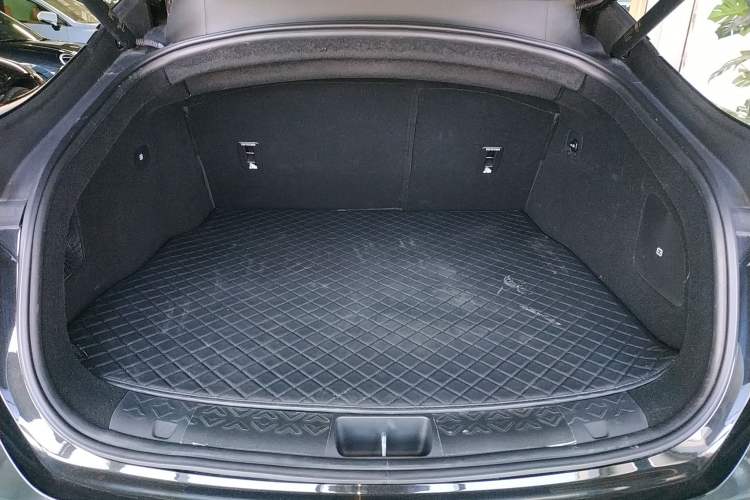 Used  06 2025 Max Extended-Range Edition
