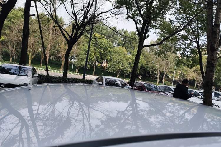 Used Hyundai Celesta 2020 1.6L Automatic GL Enjoyable Edition