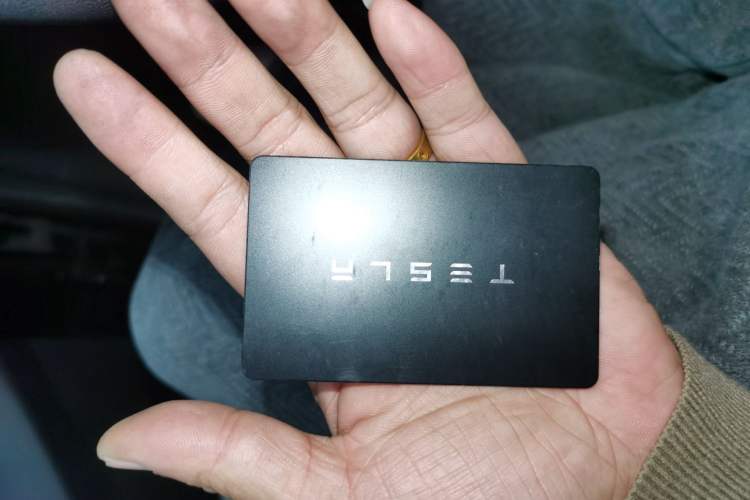 Used Tesla Model Y 2022 Rear-Wheel-Drive Version
