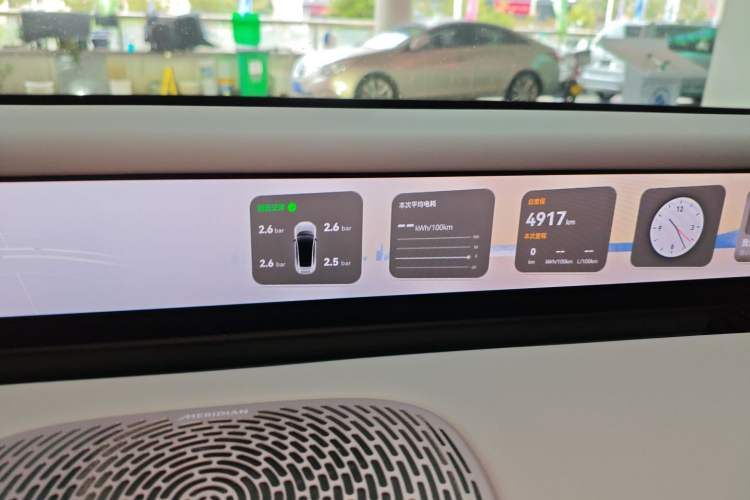 Used  06 2025 Pro Range-Extended Edition
