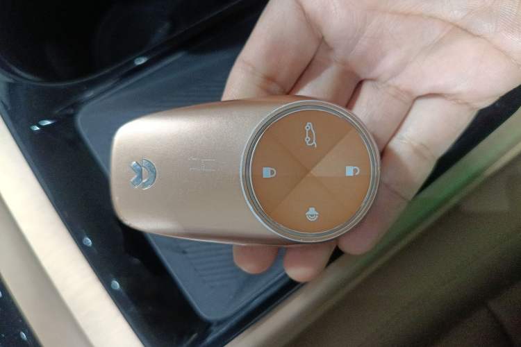 Used Nio ES8 2018 Founder Edition
