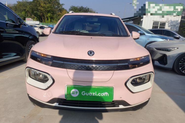 Used Dongfeng NAMMI EX1 2023 PRO Light Wind Edition Lightning Model
