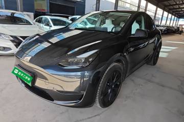 Used Tesla Model Y 2024 Long-Range All-Wheel-Drive Version