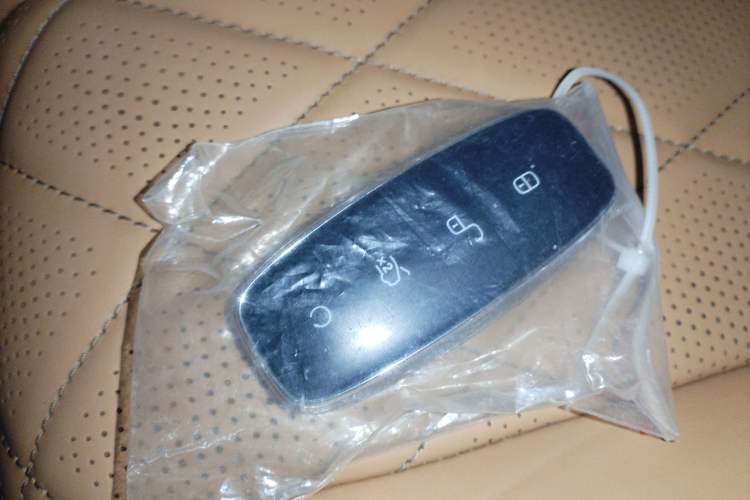 Used Denza D9 2022 DM-i 1040 Prestige Model
