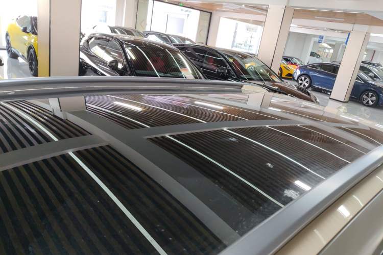 Used  #5 2024 Jungle Realm Limited Edition