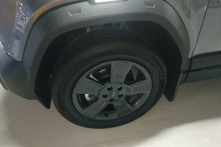 Used  03 2024 501km Two-Wheel Drive Long-Range Version