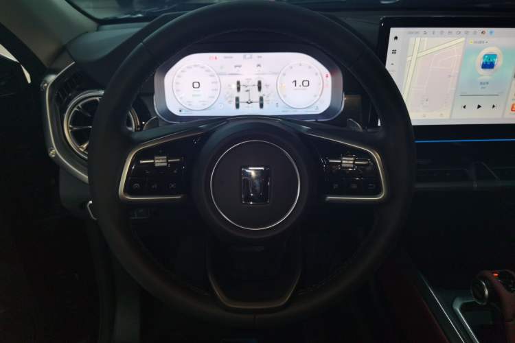 Used Tank 400 2025 2.0T Gasoline Version