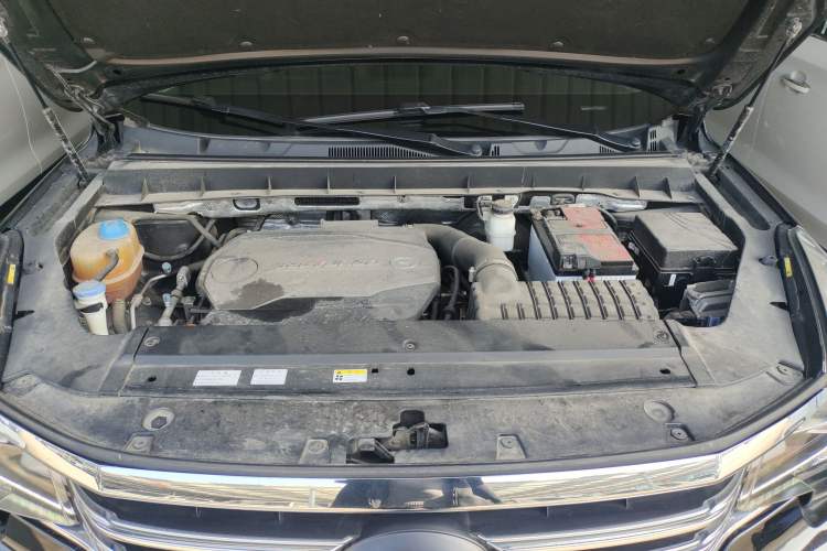 Used GAC Trumpchi GS8 2017 320T Two-Wheel Drive Luxury Edition (7 Seats)
