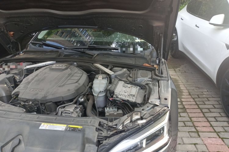 Used Audi A5 2019 Sportback 45 TFSI Fashion Model
