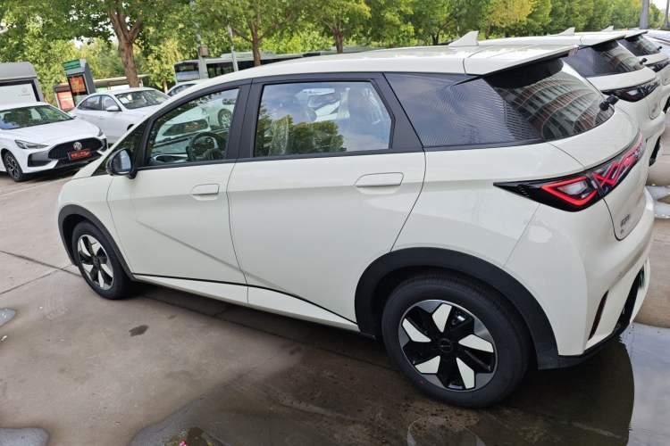 Used BYD Dolphin 2025 420km Free Edition
