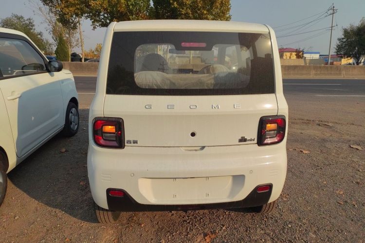 Used  Panda 2024 Panda Mini 200km Endurance Bear
