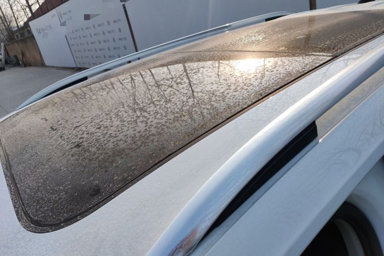 Used Volkswagen Tiguan L 2024 300TSI Automatic Two-Wheel Drive Smart Edition
