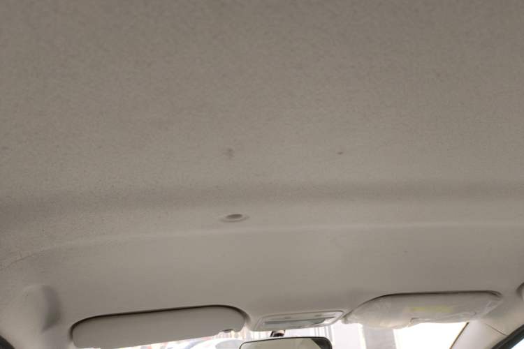 Used SOL E10X 2022 Flower Fairy Design Four-Leaf Clover
