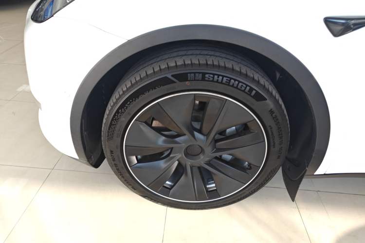 Used Tesla Model Y 2021 Long-Range All-Wheel-Drive Version
