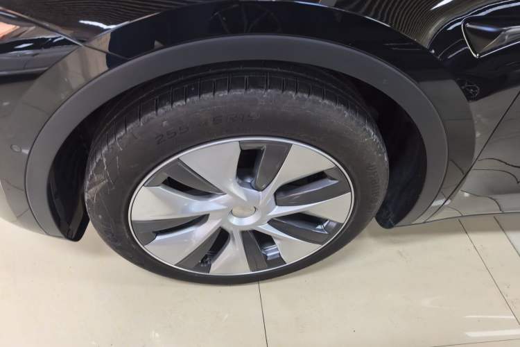 Used Tesla Model Y 2021 Standard Range Rear-Wheel Drive Version
