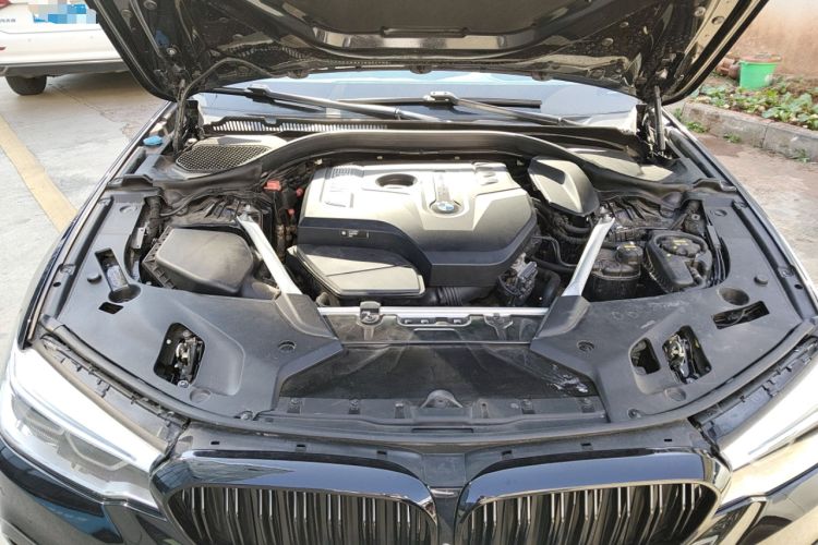 Used BMW 5 Series 2020 530Li Luxury Edition M Sport Package
