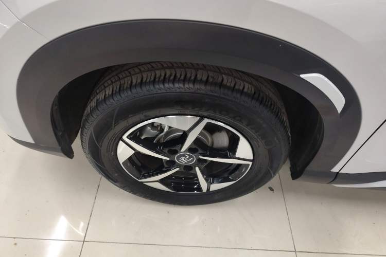 Used BYD Yuan UP 2024 401KM Leading Edition
