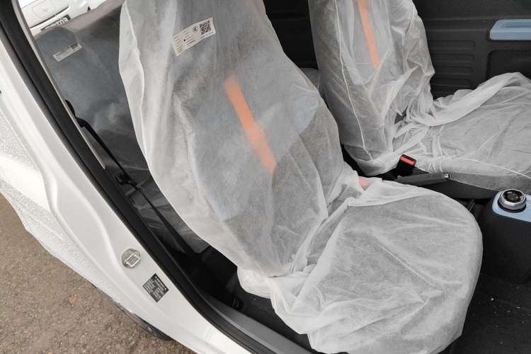 Used  Panda 2024 Panda Mini 200km Endurance Bear
