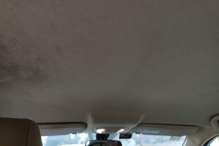 Used Leopaard CS9 2018 1.5T CVT Jingrui Model