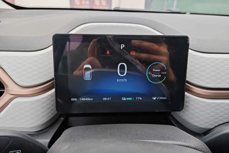 Used SOL E10X 2022 Flower Fairy Design Four-Leaf Clover