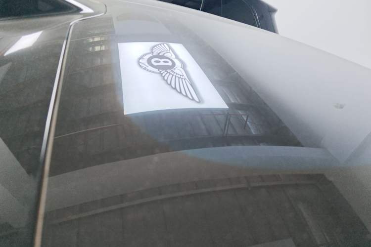 Used  06 2025 Ultra Pure Electric Edition
