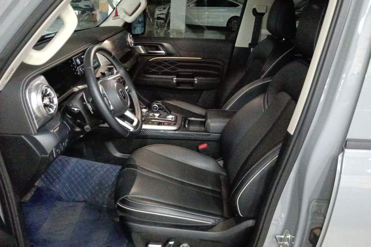 Used Tank 300 2024 2.0T Conqueror
