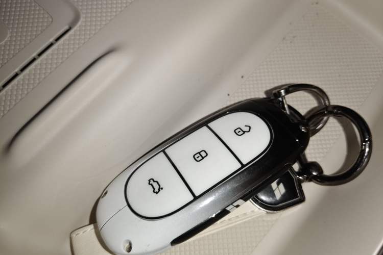 Used Li Auto L6 2024 PRO Model
