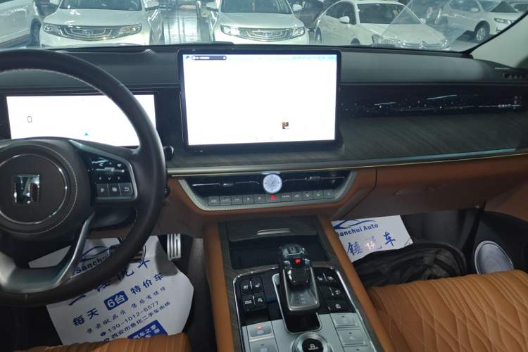 Used Tank 500 New Energy 2025 Hi4-Z
